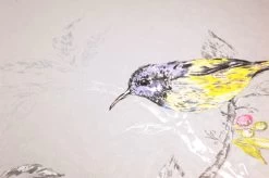 Tapete Onni Hellgrau -Berühmt Tapeten Geschäft 104501 B Onni 2880x1440