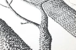 Tapete Birch Forest Schwarz -Berühmt Tapeten Geschäft 138101 B Birch Forest 2880x1440