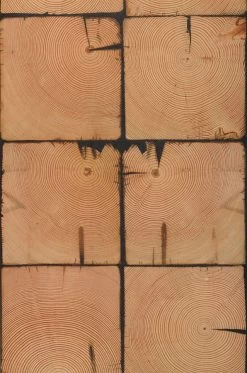 Tapete Scrapwood 09 Orangebraun -Berühmt Tapeten Geschäft 270159 Scrapwood09 2880x1440