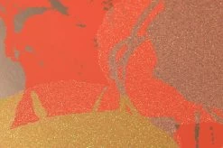 Tapete Andy Warhol - Flowers Lachsorange 5 Tapete Andy Warhol - Flowers Lachsorange -Berühmt Tapeten Geschäft 320221 1 Andy Warhol Flowers 2880x1440