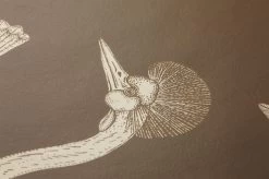 Ferm LIVING Tapete Birds Of Happiness Olivbraun -Berühmt Tapeten Geschäft 420281 B Birds of Happyness 2880x1440