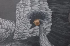 Tapete Kimora Dunkelgrau -Berühmt Tapeten Geschäft 431703 B Kimora 2880x1440