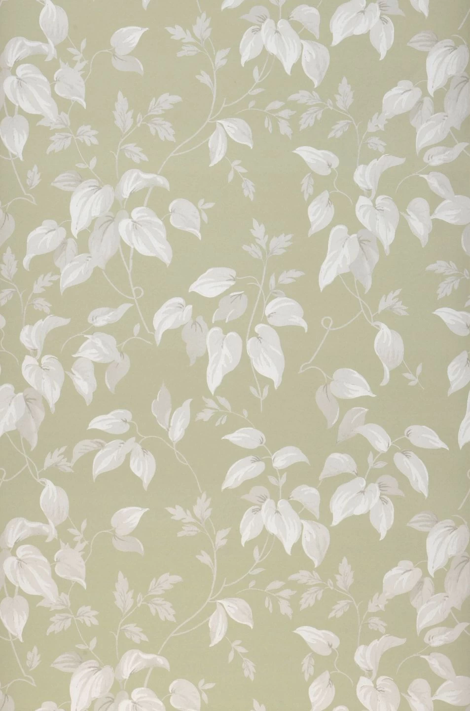 Tapete Inaya Blassgrün 2 Tapete Inaya Blassgrün – Bild 2