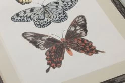 Tapete Jara Bunt 6 Tapete Jara Bunt -Berühmt Tapeten Geschäft 461581 1 Jara 2880x1440