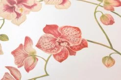 Tapete Coralie Rotviolett 6 Tapete Coralie Rotviolett -Berühmt Tapeten Geschäft 462671 B Coralie 2880x1440