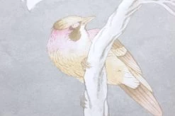 Tapete Verdura Cremeweiss Perlglanz -Berühmt Tapeten Geschäft 462891 B Verdura 2880x1440