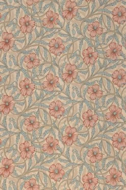 Tapete Esmeralda Creme -Berühmt Tapeten Geschäft 485083 A Esmeralda 2880x1440
