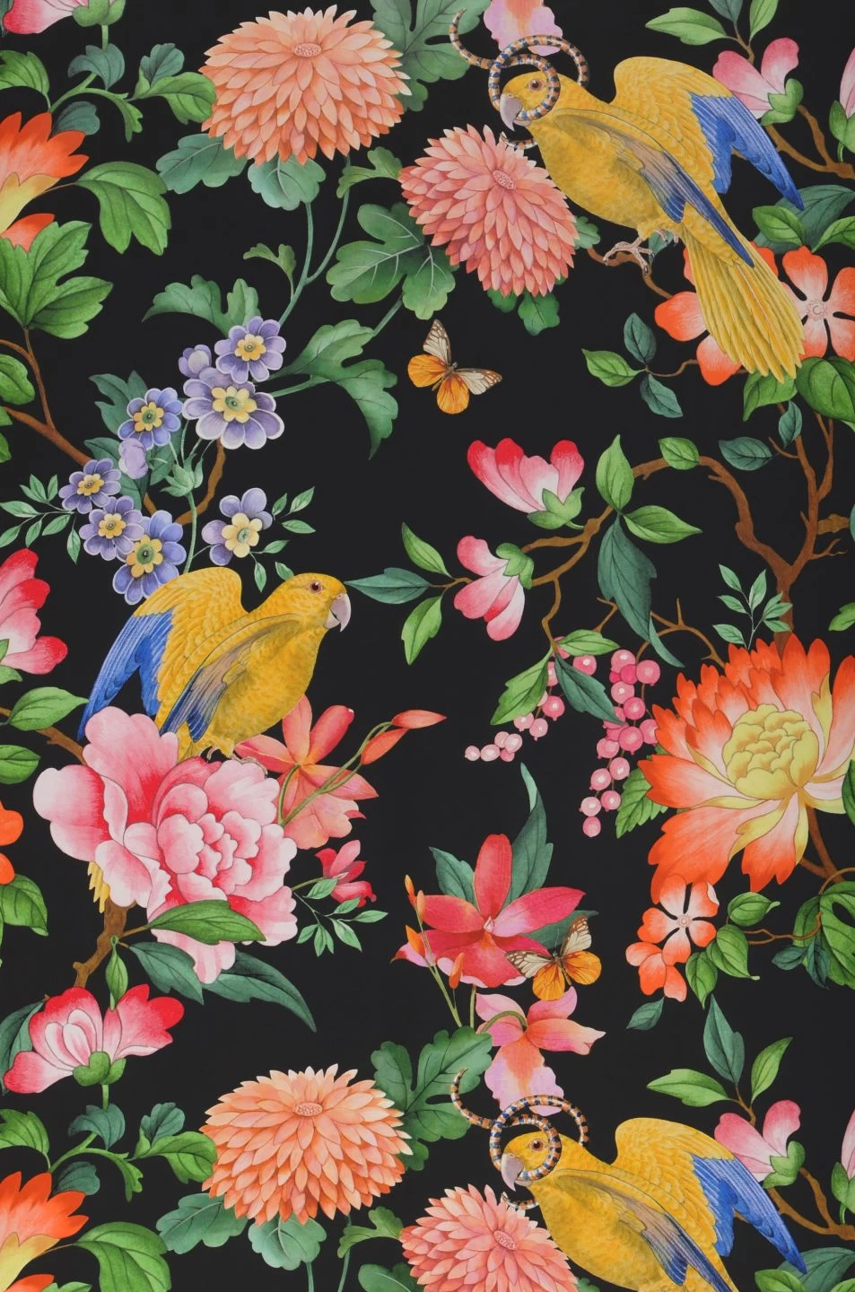 Tapete Aranza Anthrazit 1 Tapete Aranza Anthrazit