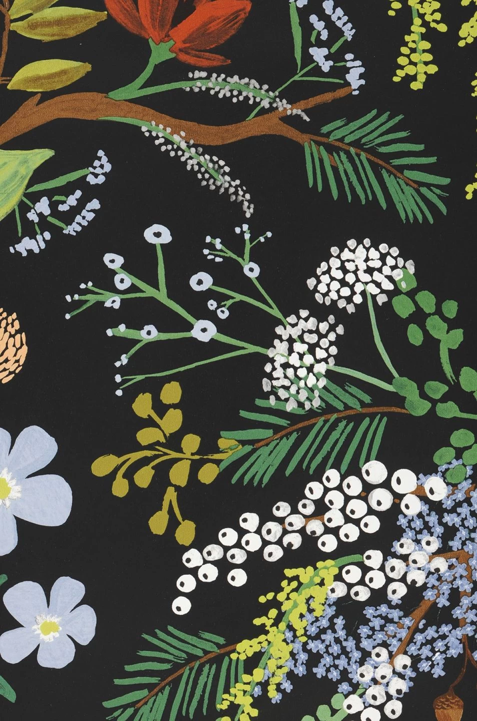 Selbstklebende Tapete Juniper Forest Schwarz 2 Selbstklebende Tapete Juniper Forest Schwarz – Bild 2