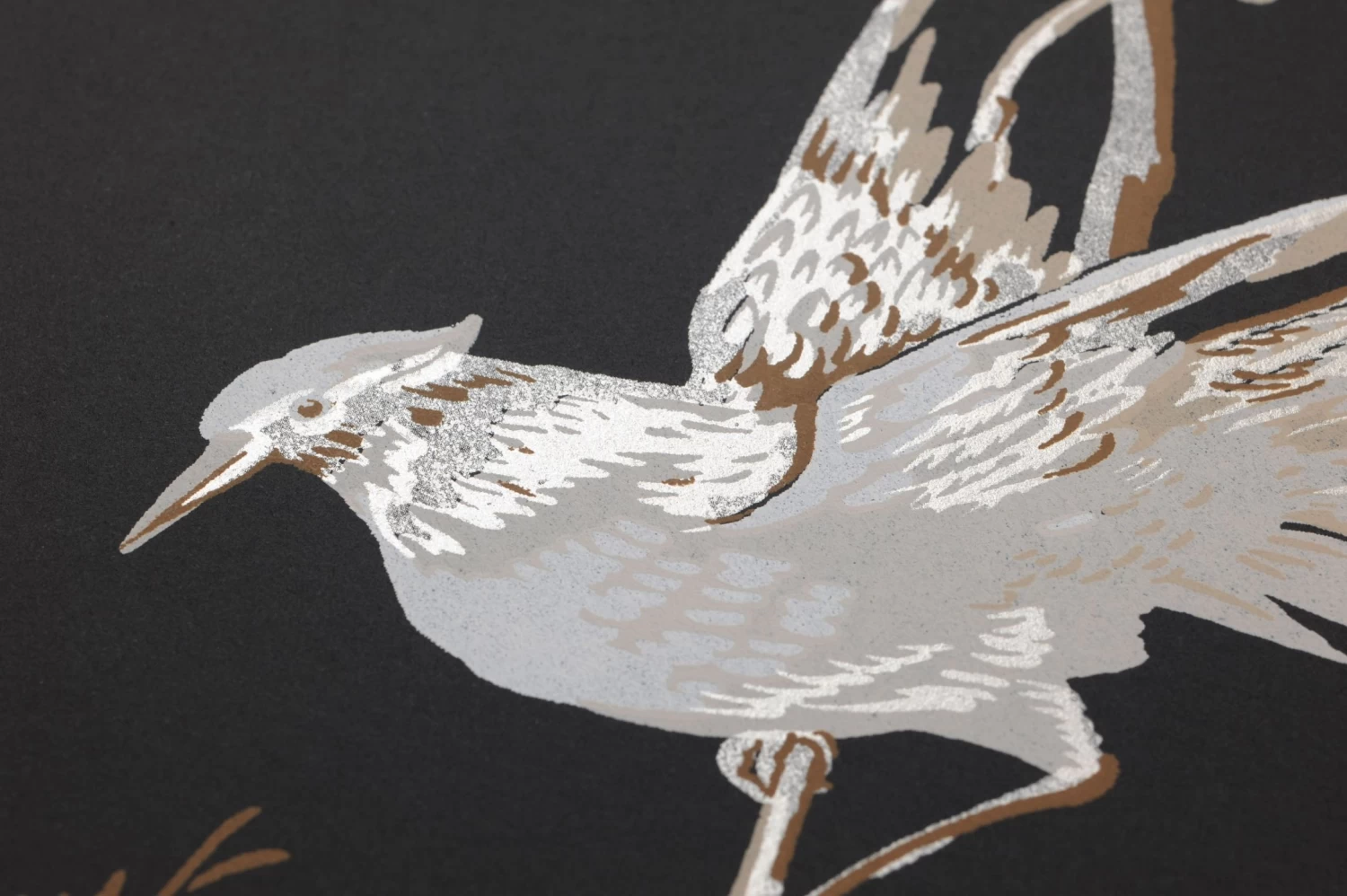 Tapete Coringa Schwarz 2 Tapete Coringa Schwarz – Bild 2