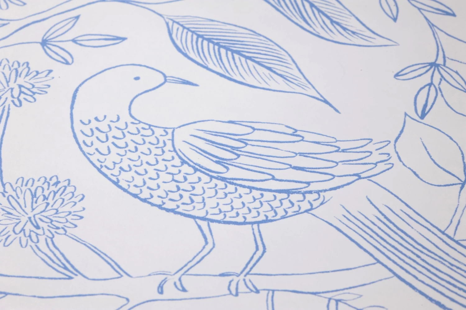 Selbstklebende Tapete Aviary Weiss 3 Selbstklebende Tapete Aviary Weiss – Bild 3