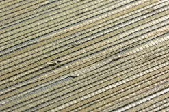 Tapete Grass On Roll 06 Schilfgrün -Berühmt Tapeten Geschäft 821716 B Grass on Roll 06 2880x1440