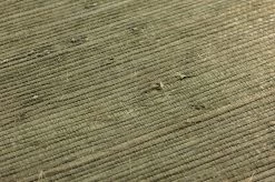 Tapete Grass On Roll 12 Grün -Berühmt Tapeten Geschäft 822012 B Grass on Roll 12 2880x1440