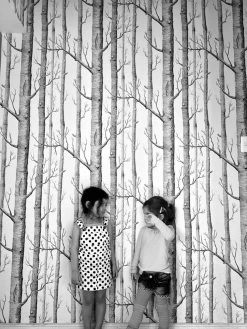 Tapete Birch Forest Schwarz -Berühmt Tapeten Geschäft Birch Forest K 138101 2880x1440