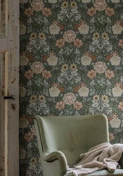 Tapete Kerala Schilfgrün -Berühmt Tapeten Geschäft Kerala B 451872 2880x1440