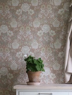 Tapete Kerala Kupferbraun -Berühmt Tapeten Geschäft Kerala B 451873 2880x1440