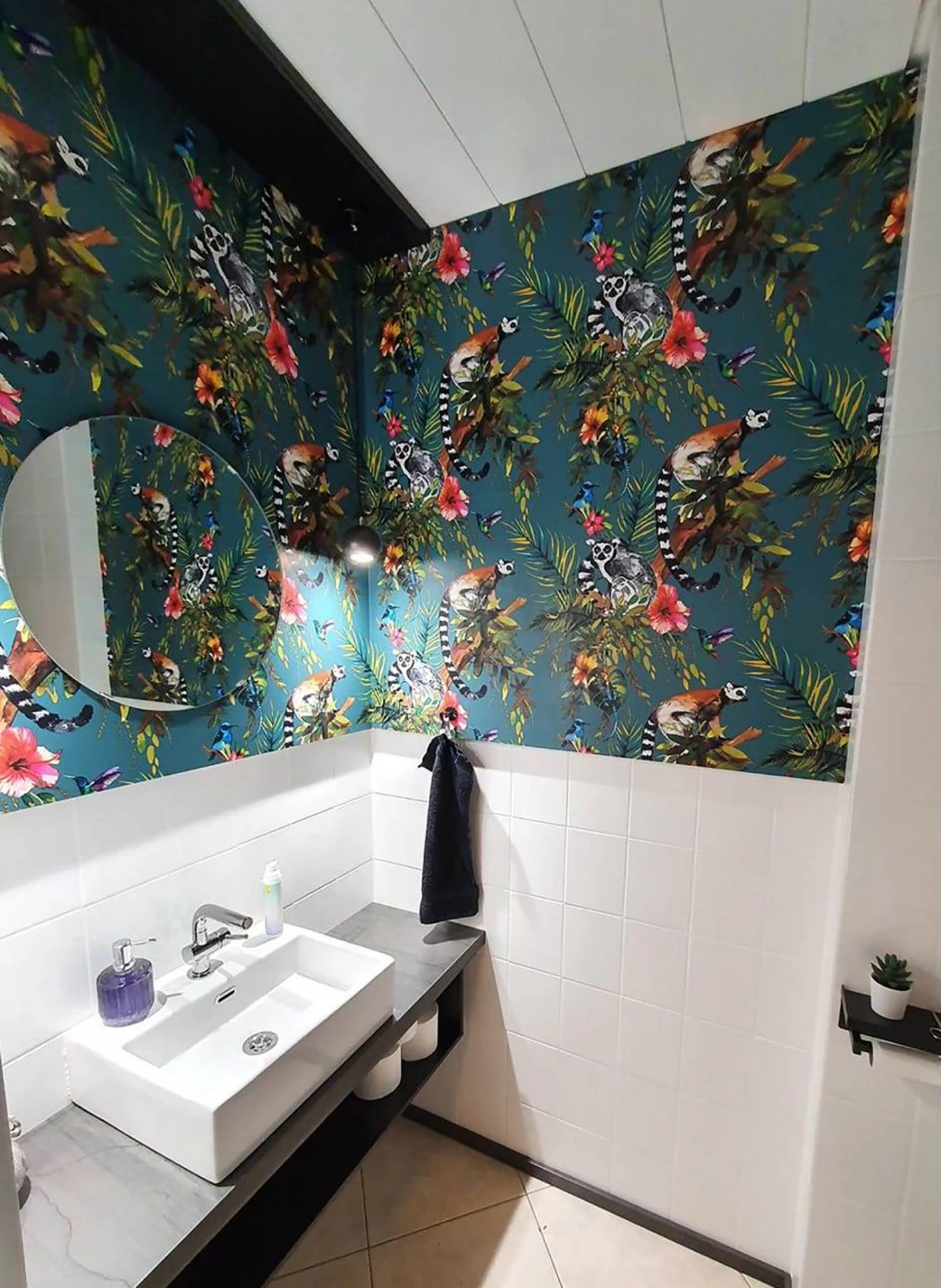 Tapete Madagascar Wasserblau 2 Tapete Madagascar Wasserblau – Bild 2