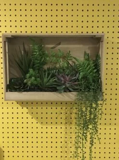 Tapete Nala Goldgelb -Berühmt Tapeten Geschäft Nala K 835152 2880x1440