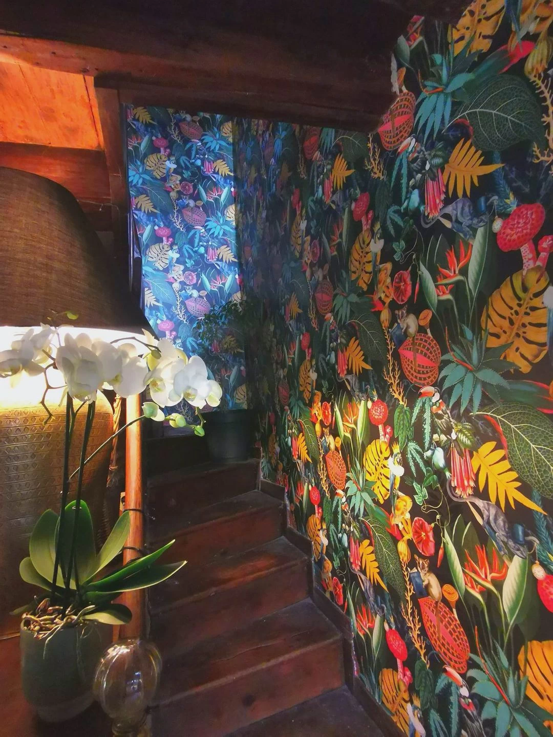 Tapete Neboa Anthrazitgrau 4 Tapete Neboa Anthrazitgrau – Bild 4