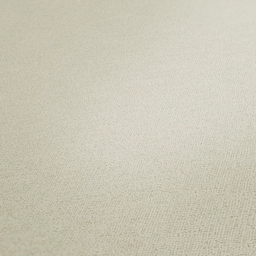 A.S. Creation Tapete Vlies Michalsky Einfarbig Struktur Beige 37986-1 2 A.S. Creation Tapete Vlies Michalsky Einfarbig Struktur Beige 37986-1 – Bild 2