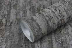 Tapete Vlies Rasch Birke Baumstamm Anthrazit 554076 8 Tapete Vlies Rasch Birke Baumstamm Anthrazit 554076 -Berühmt Tapeten Geschäft Tapete Vlies Rasch Birke Baumstamm anthrazit 554076 63211744 7